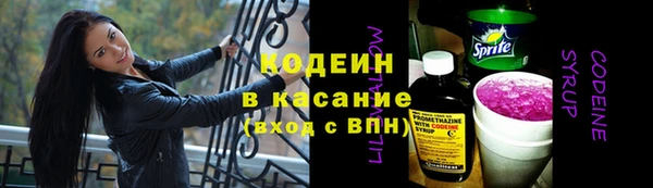 гашик Абаза