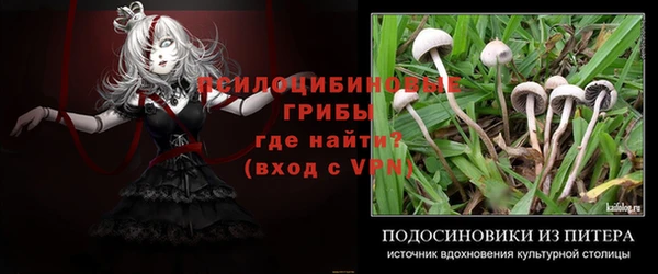 таблы Абинск